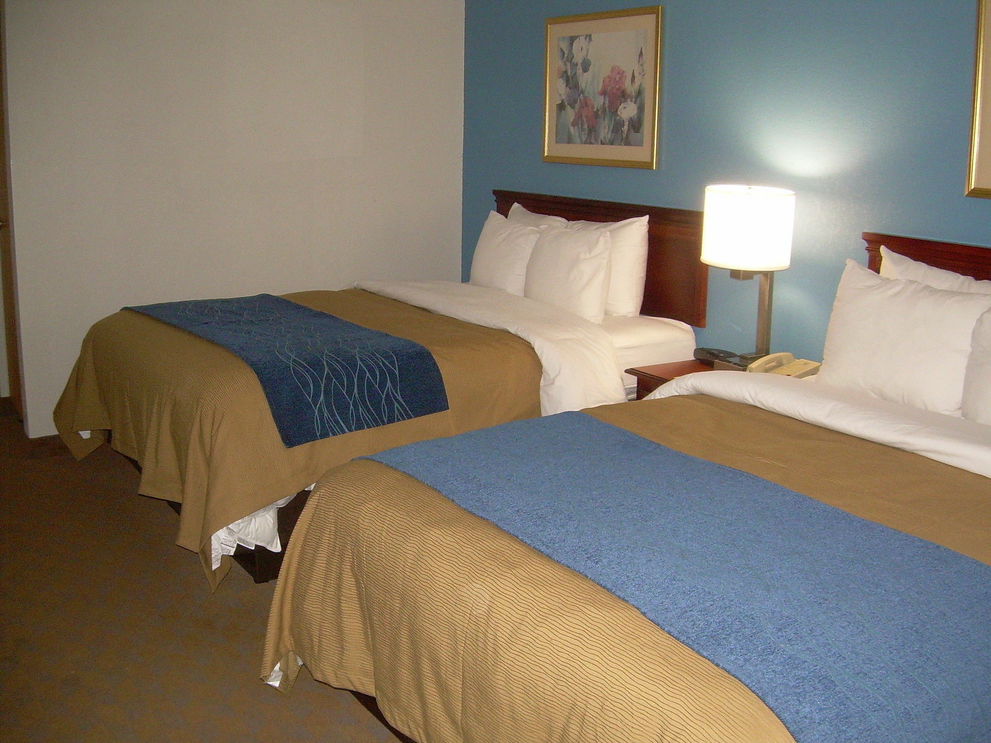 Comfort Inn & Suites Lees Summit - Kansas City Екстер'єр фото